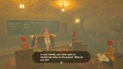 zferolie:  Gerudo Classes on how to interact with Voe Part 1.