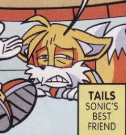 raeloganthemephilesfangirl:  Someone at the Sonic Archie comics