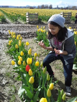        so my family went to the tulip fields and my little sister