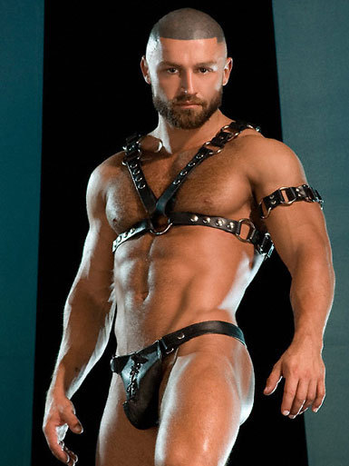 real-deal-inches:  François Sagat is not that hung, but as he was a bottom I don’t really care. His body is a 25 out of 10 (if you like perfect muscled hairy men of course ) !