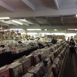 sourgirl0:  Jerry’s Records, Squirrel Hill, Pittsburgh. This