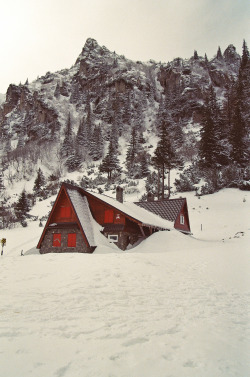 0rient-express:  Rescue shelter in the winter | by Dumitrescu