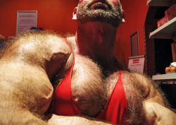 germanbuilder:  Nice closeup of the HOT HAIRY CHEST of the GERMANBUILDER