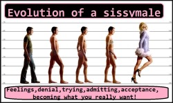 feminization:  Evolution of a sissymale 