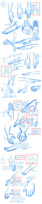 deviantart:  Stylized Hands model sheets by tombancroft  The