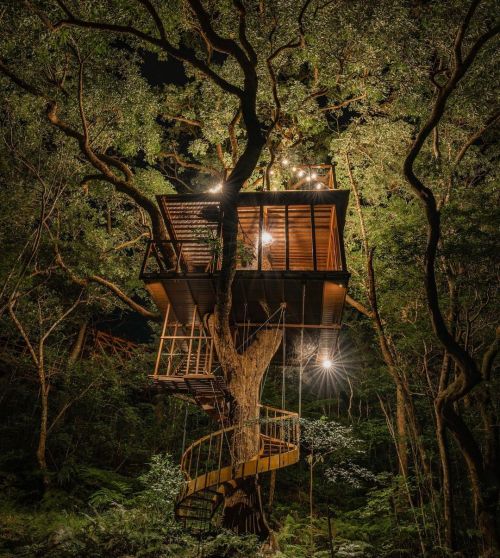 utwo:  Treeful Treehouse Sustainable Resort Nago Okinawa Japan©