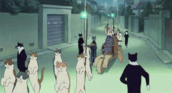 susuwatori: The cat parade