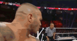 wrasslormonkey:  When they start playing Randy’s jam (by @WrasslorMonkey)