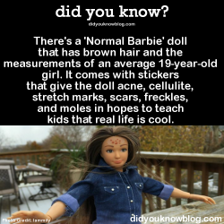 did-you-kno:  There’s a ‘Normal Barbie’ doll that has brown