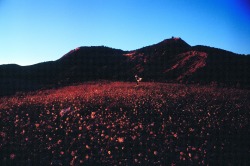 vaxaku:sunset in Spanish desert Las Bardenas Reales with Théa