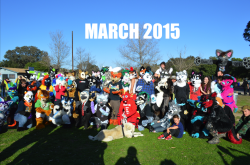 aceofheartsfox:Two fursuit group photos from the same meet then