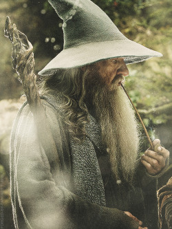  Gandalf “True courage is about knowing not when to take a