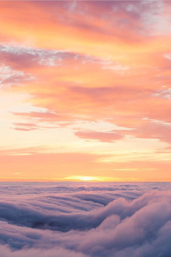 heaven-ly-mind:  Mt. Tamalpais, East Peak