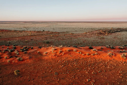 nevver:  Life on Mars, Lisa Alexander (because)