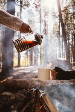 Cider and Sawdust