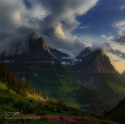 superbnature:  “Cathedral of the Sun” by MarkMetternich 