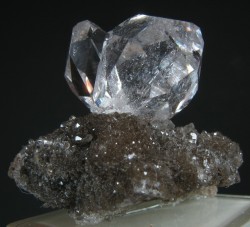 ifuckingloveminerals:  Herkimer Diamond, Smoky Quartz Locality: