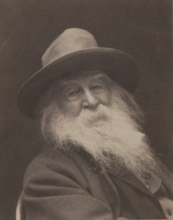 No-Shave November“Portrait of Walt Whitman,” 1887, by George