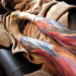 hoseb4bros:  It’s a feather #leggings kind of day. #hosiery