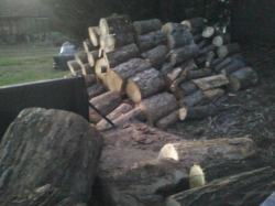 This was how I spent Wednesday, loading and unloading firewood.