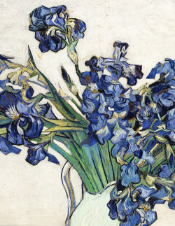 blurrymelancholy:  Vincent van Gogh, Irises, 1890 (detail) 