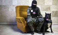 A masked pro-Russian protester sits beside a dog as he poses