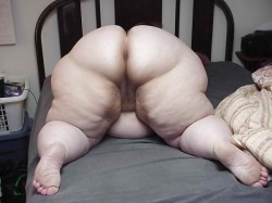 extrafatssbbwfeedee:  Wanna fuck a sexy bbw chick? CLICK HERE!