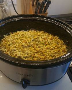 Just got my new Crock Pot. Making some Chicken and Stuffing comfort