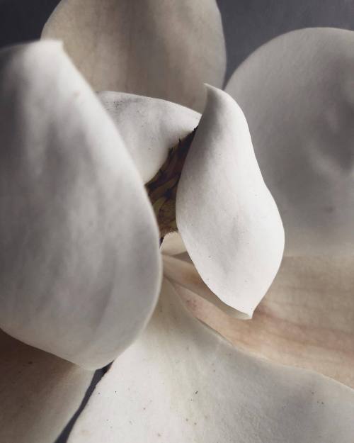 fragrantblossoms:   John Mangila  