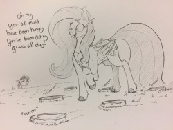 neronovasart: greyartpost: Fluttershy and her herd of Roombas,