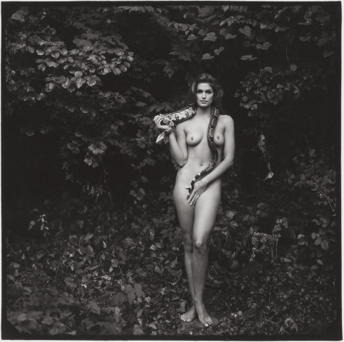 asa3200:  Annie Leibovitz, 1993 Cindy Crawford, Brookville, New York 