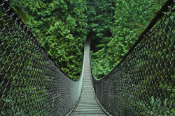 sapphire1707:  Suspension Bridge - Lynn Canyon by janusz l on