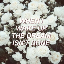 mrs-spooky-jim:  painting flowers // all time low