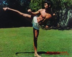 kungfutaichionline:  Bruce Lee’s Side Kick Photos! 