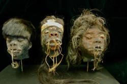 sixpenceee:  Shrunken heads was rare until 19th century tourists