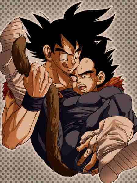 Dragon Ball’s Goku & Vegeta.  