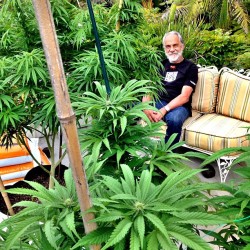 heytommychong:  My garden makes me a happy and healthy man…tc