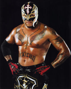 fishbulbsuplex:  Rey Mysterio