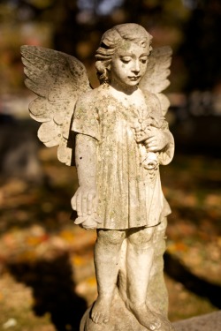 southernparadox:  Cemetery Angel - Maple Hill Cemetery - Huntsville,