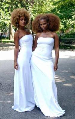 18-15n-77-30w:  blackgirlsrpretty2:  I want to be like them.