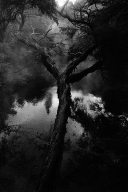 Witching Hour