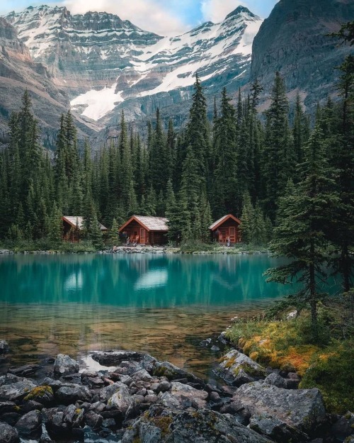 naturcs:by   jamieout  