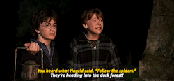 movie-gifs:  Harry Potter and the Chamber of Secrets (2002) dir.