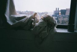 moanarch:  untitled by michelle k. a. on Flickr. 
