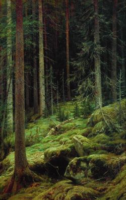 wanderingredleaves:  	Ivan Shishkin, 1881, Thickets