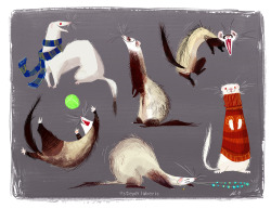 stephlaberis:  Ferrets! Ferrets for the book! Because I promised