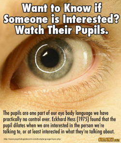 cracked:  But don’t, like, over-watch their pupils. 24 Scientific