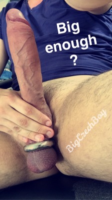 bigczechboy:  Yes or not? 🍆 - snapchat edition 😜