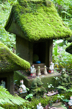 mymorningcappuccino:  fromthefloatingworld:  Moss covered world