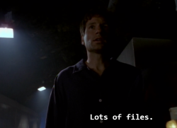 thexfiles:  a summary 